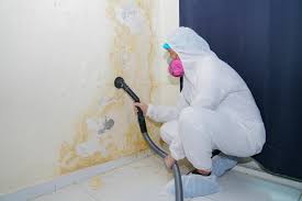 Best Real Estate Mold Inspection  in , MT